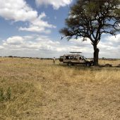  The Serengeti, TZ